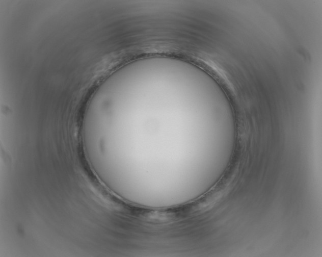 X0000090960261200708021127