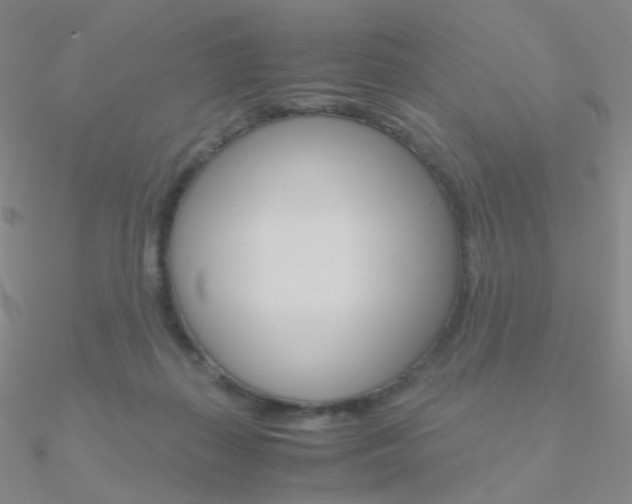 X0000090960267200708021127