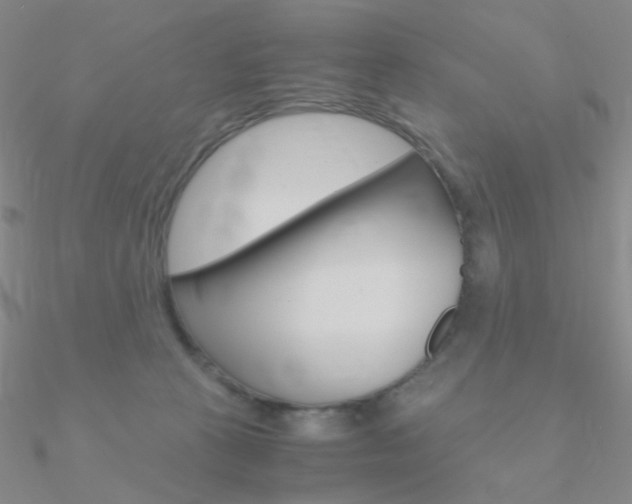 X0000090960273200708021127