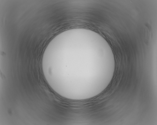 X0000090960274200708021127