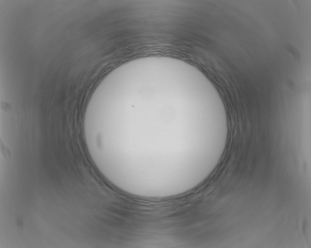 X0000090960276200708021127