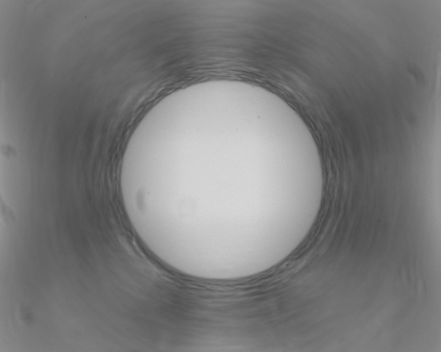 X0000090960280200708021127