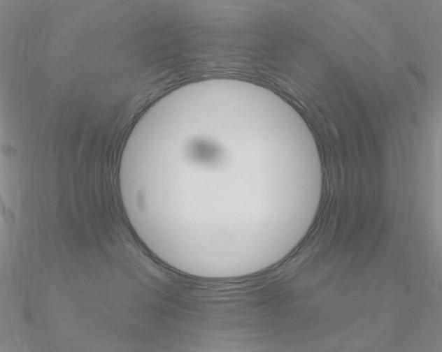X0000090960286200708021128