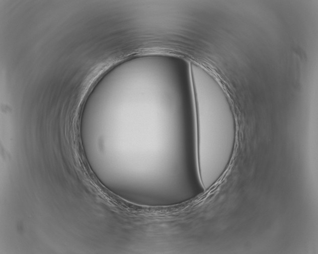 X0000090960289200708021127