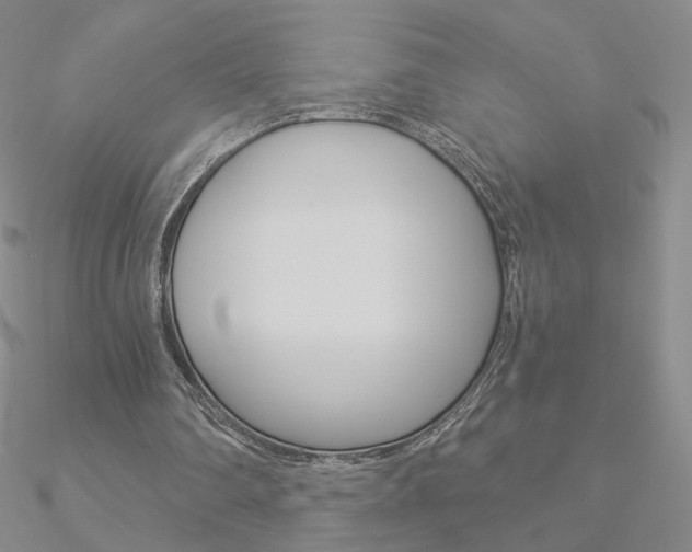 X0000090960290200708021127