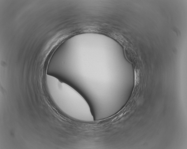 X0000090960291200708021127