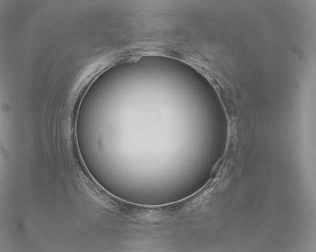 X0000090960293200708021127