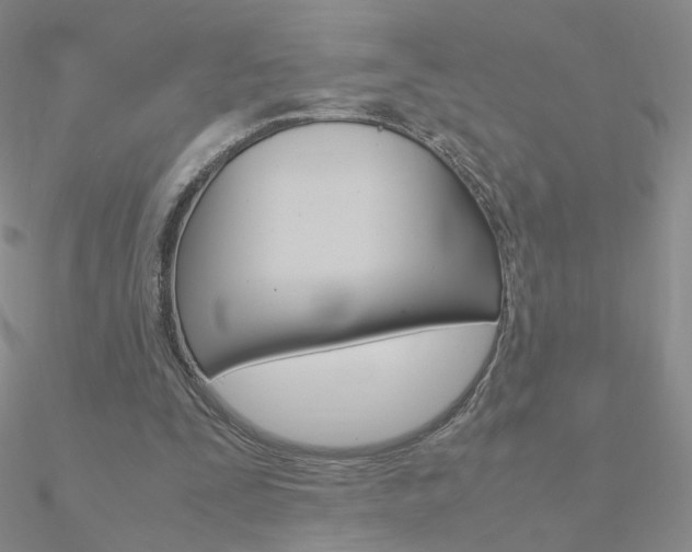 X0000090960295200708021127