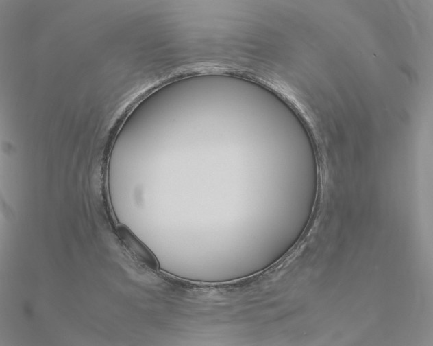 X0000090960297200708021127