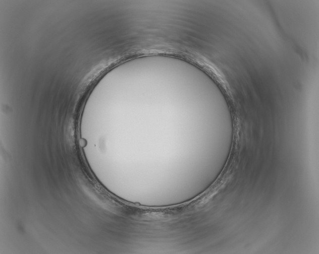X0000090960298200708021127