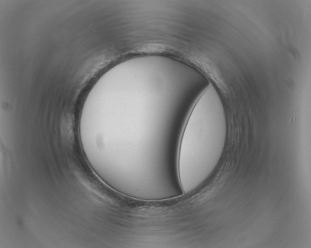 X0000090960300200708021127