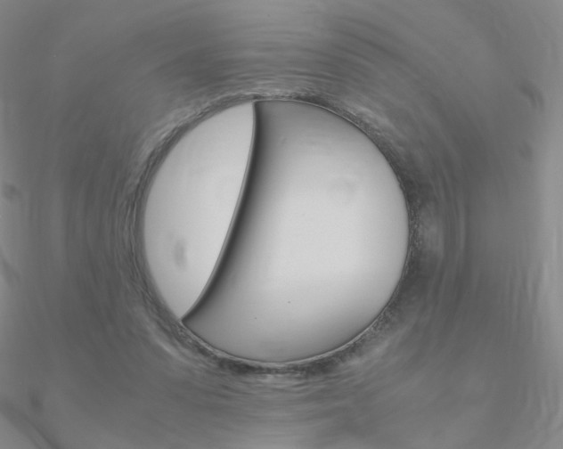 X0000090960303200708021127