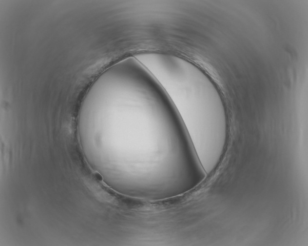 X0000090960305200708021127