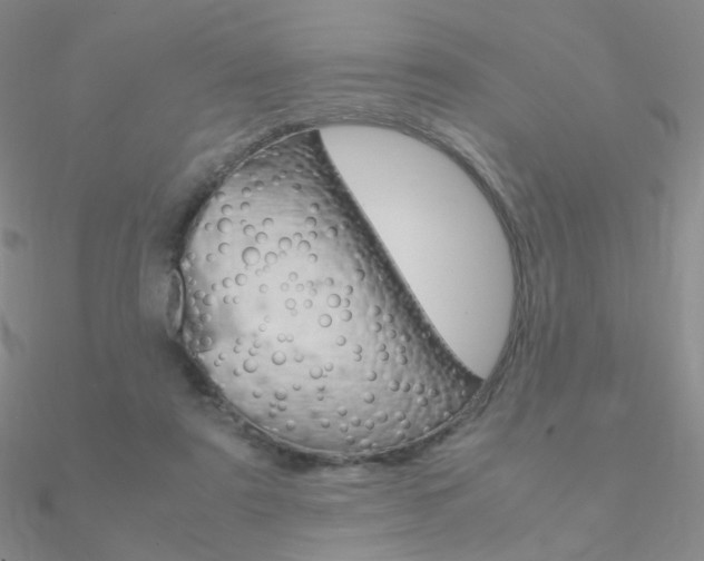 X0000090960307200708021127