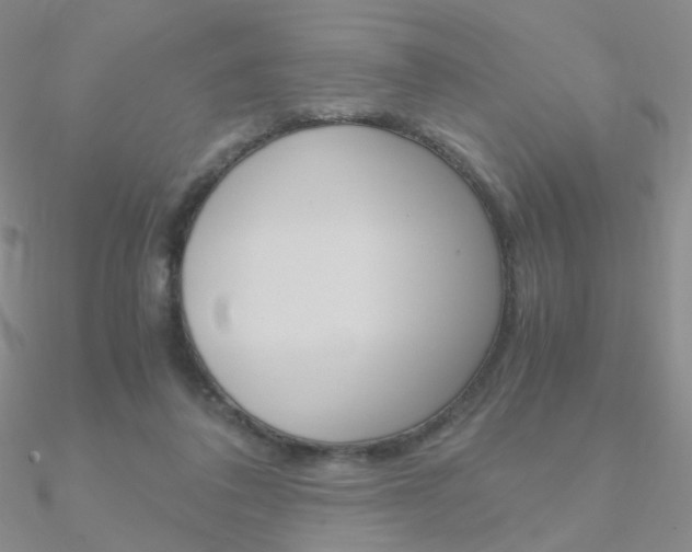 X0000090960308200708021127