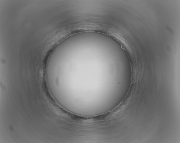 X0000090960309200708021127