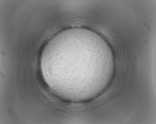 X0000090960311200708021127