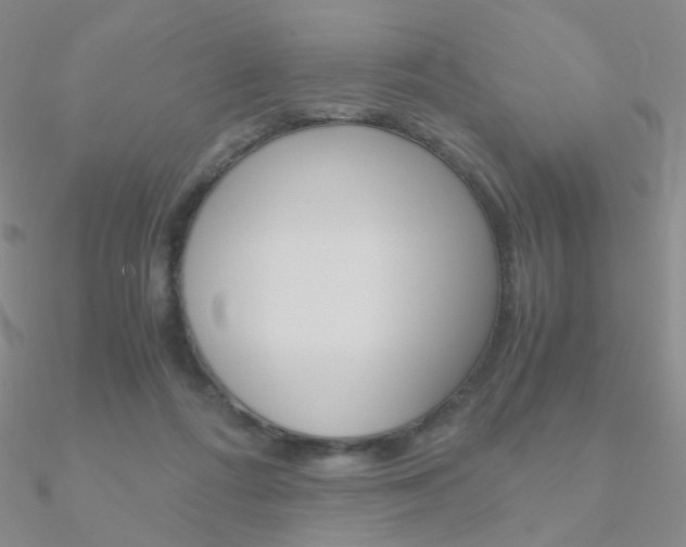X0000090960312200708021127