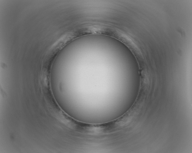 X0000090960313200708021127