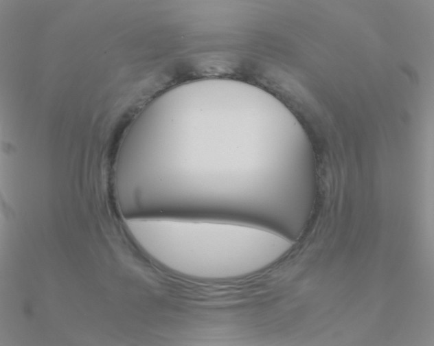 X0000090960315200708021127