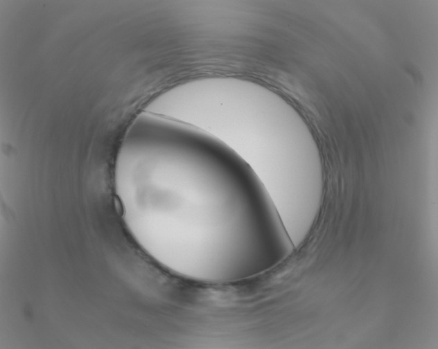 X0000090960317200708021127