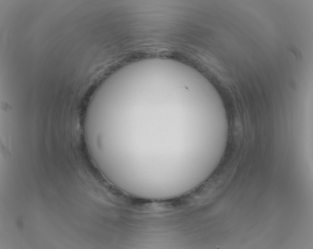 X0000090960320200708021127
