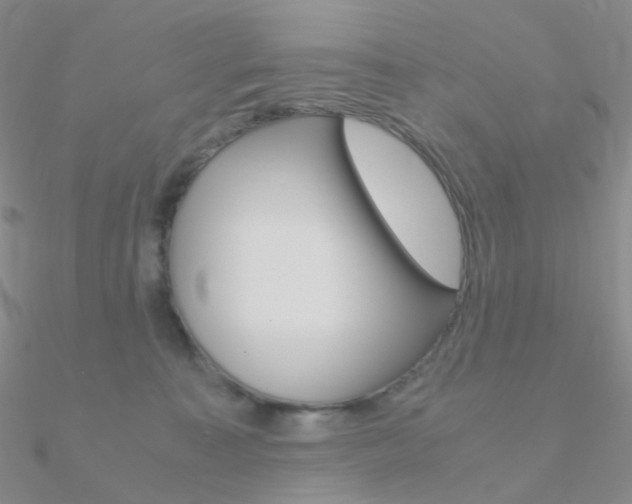 X0000090960323200708021127