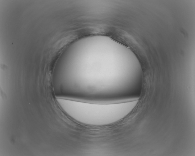 X0000090960325200708021126