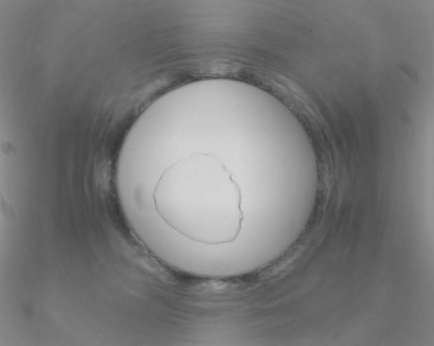 X0000090960326200708021126