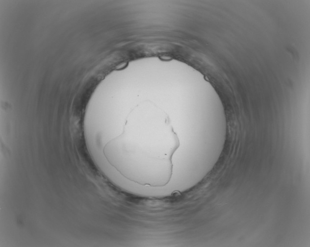 X0000090960327200708021126