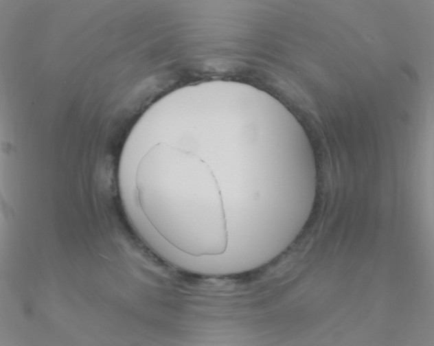 X0000090960328200708021126