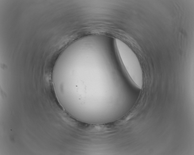X0000090960329200708021126