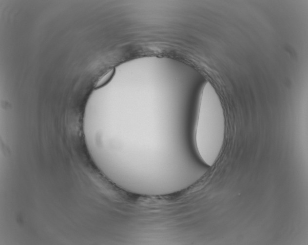 X0000090960331200708021126