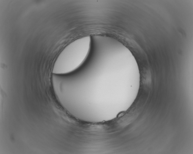 X0000090960332200708021126