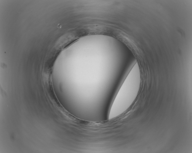X0000090960333200708021126