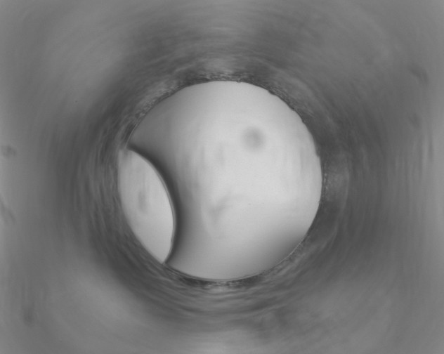 X0000090960335200708021126