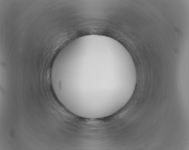 X0000090960336200708021126