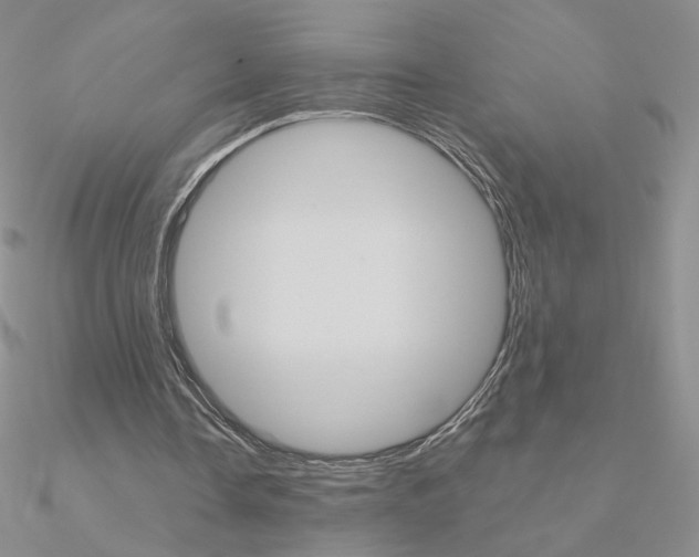X0000090960338200708021126