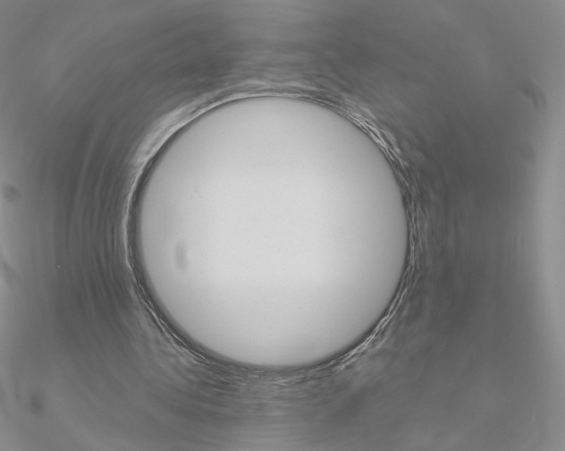 X0000090960340200708021126