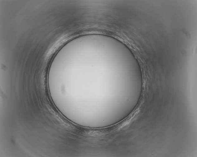 X0000090960341200708021126