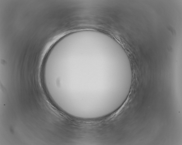 X0000090960342200708021126