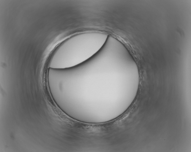 X0000090960343200708021126