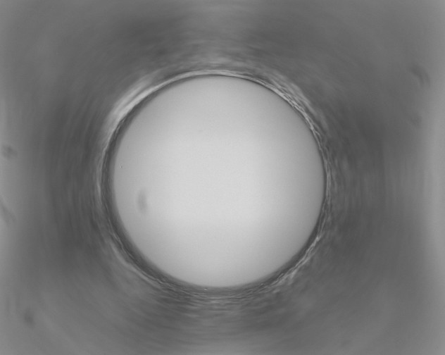 X0000090960344200708021126