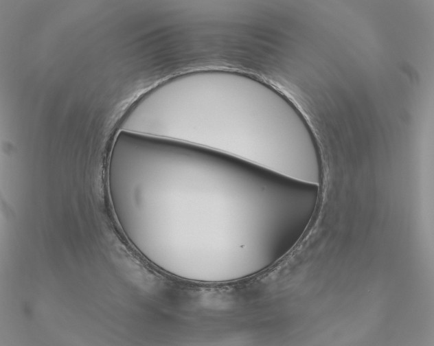 X0000090960345200708021126