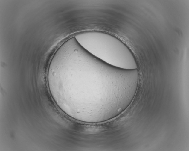 X0000090960347200708021126