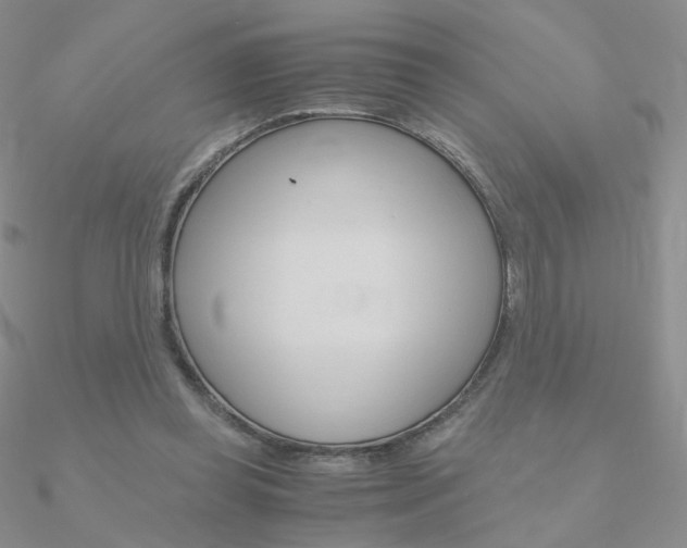 X0000090960349200708021126