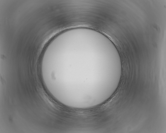 X0000090960350200708021126