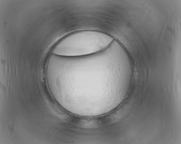 X0000090960351200708021126