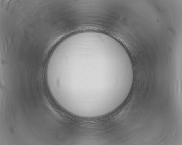 X0000090960352200708021126