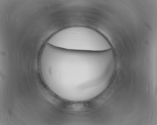 X0000090960353200708021126